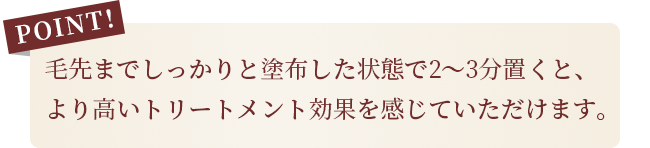 毛先までしっかりと塗布した状態で2〜3分置くと、より高いトリートメント効果を感じていただけます。